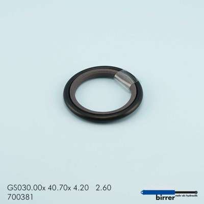 Gleitring GS -1  670753