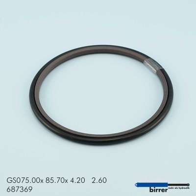 Gleitring GSS-1  670804