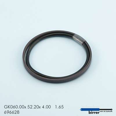 Gleitring GK -1  670598