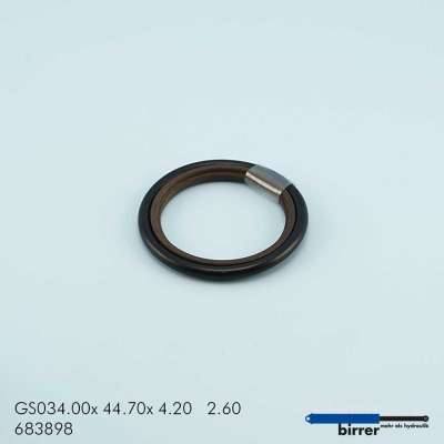 Gleitring GSS-2  670759