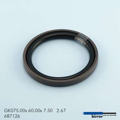 Gleitring GK -1  671397