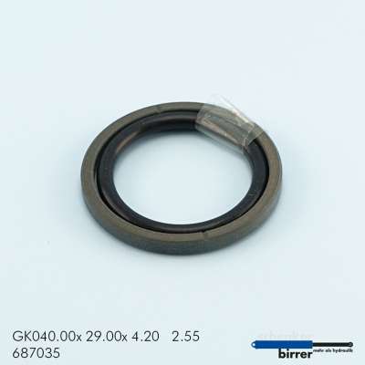 Gleitring GK -2  670744