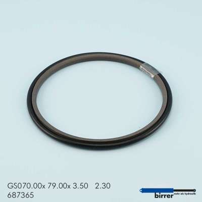 Gleitring GS -2  670624