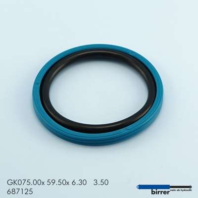 Gleitring GKW-9  671240