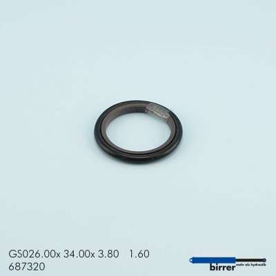 Gleitring GS -1  670567