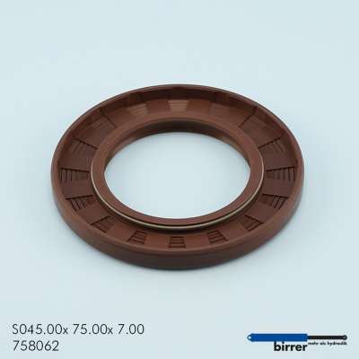 Simmerring BABSL Viton