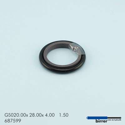 Gleitring GS -2  670557