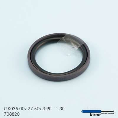 Gleitring GK -2  670564