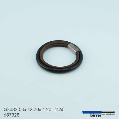 Gleitring GSS-1  670755