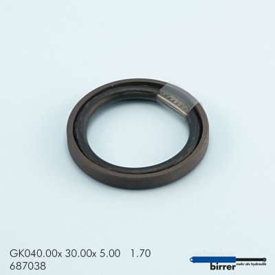 Gleitring GK -1  670896