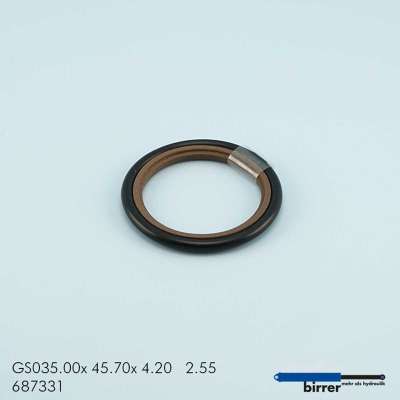 Gleitring GSS-2  670760