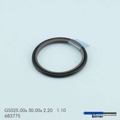 Gleitring GS -1  670153