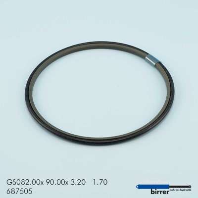 Gleitring GS -1  670637