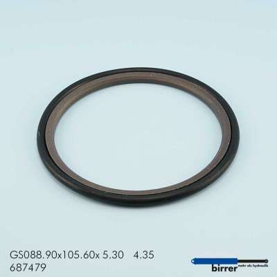 Gleitring GS -2  671155