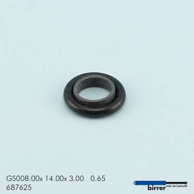 Gleitring GS -1  670316