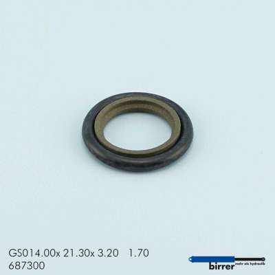 Gleitring GSS-2  670450