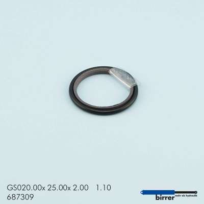 Gleitring GS -1  670150