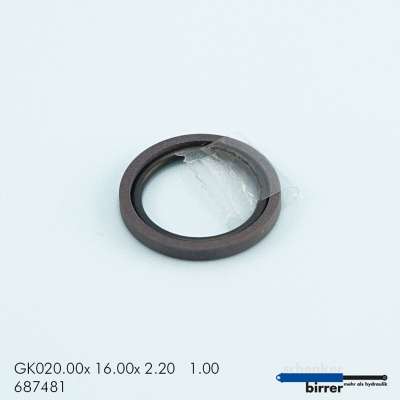 Gleitring GK -2  670146