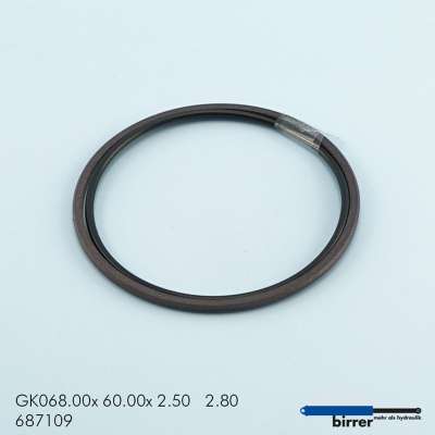 Gleitring GK -5  670256