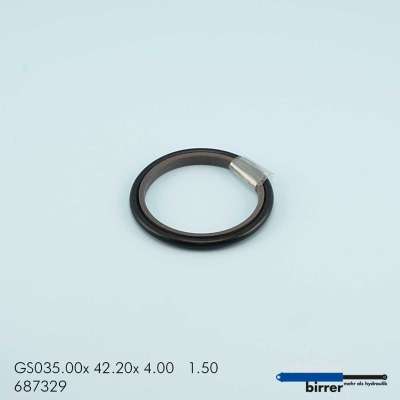 Gleitring GS -2  670579