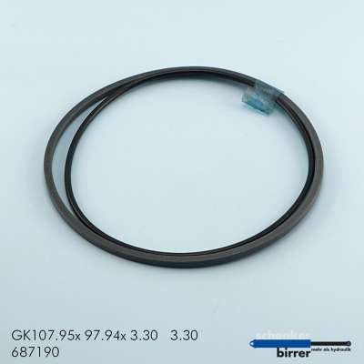 Gleitring GK -1  670494