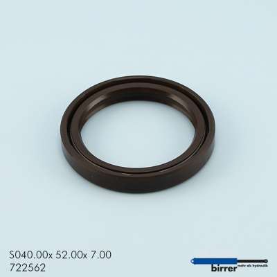 Simmerring BABSL Viton