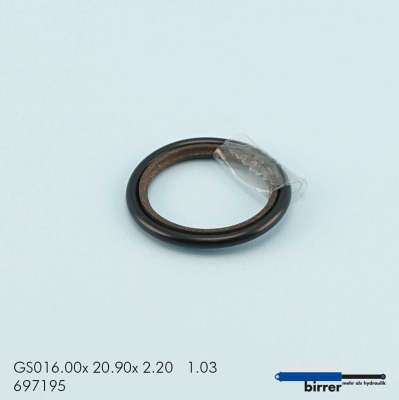 Gleitring GSS-2  670147