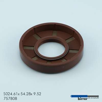 Simmerring BABSL Viton