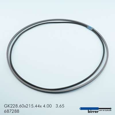 Gleitring GK -1  670844