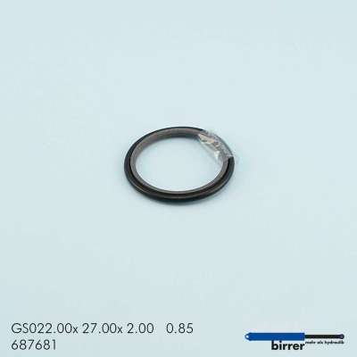 Gleitring GS -1  670151