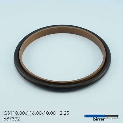 Gleitring GS -2  671490