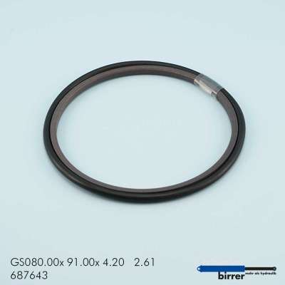 Gleitring GS -1  670808