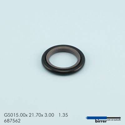 Gleitring GS -1  670365