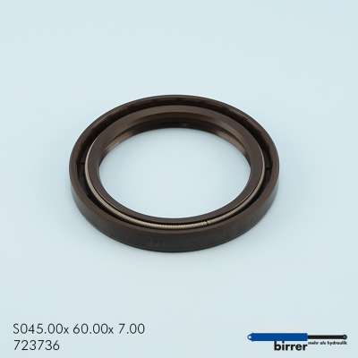 Simmerring BASL Viton