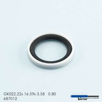 Gleitring GK -7  670449