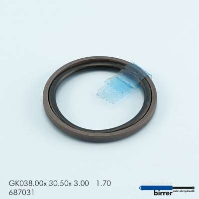 Gleitring GK -1  670462