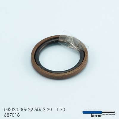 Gleitring GK -1  670455