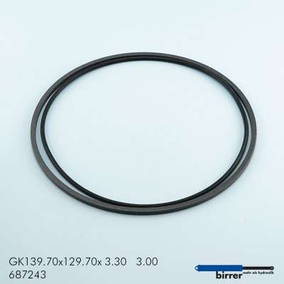 Gleitring GK -1  670499