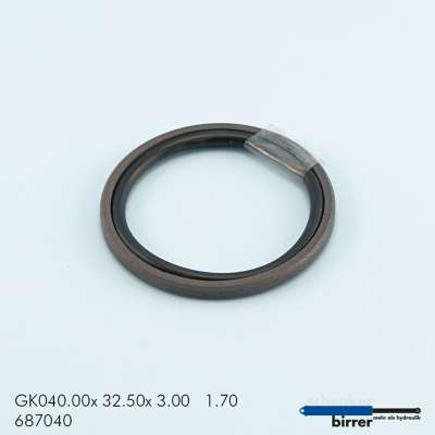 Gleitring GK -1  670380