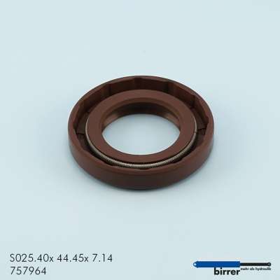 Simmerring BABSL Viton