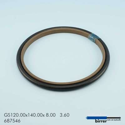 Gleitring GS -2  672074