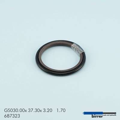 Gleitring GS -1  670381