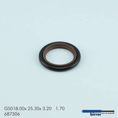 Gleitring GSS-2  670453