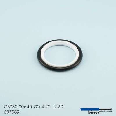 Gleitring GSS-6  670753