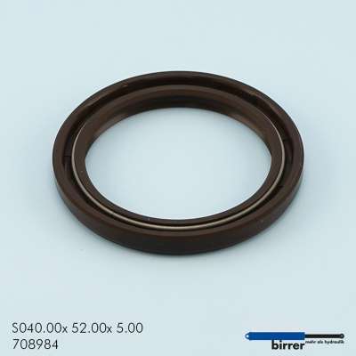 Simmerring BABSL Viton