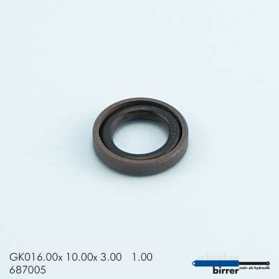 Gleitring GK -1  670316