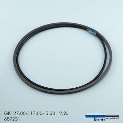 Gleitring GK -1  670497