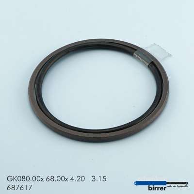 Gleitring GK -1  670793