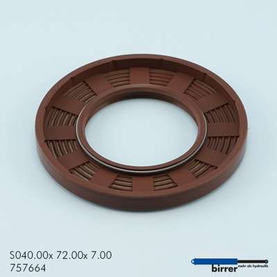 Simmerring BABSL Viton