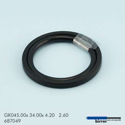 Gleitring GK -1  670751